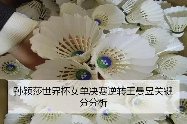 sun-ying-sha-shi-jie-bei-nv-dan-jue-sai-ni-zhuan-wang-man-yu-guan-jian-fen-fen-xi-2-948.jpg