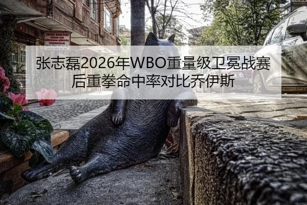 张志磊2026年WBO重量级卫冕战赛后重拳命中率对比乔伊斯